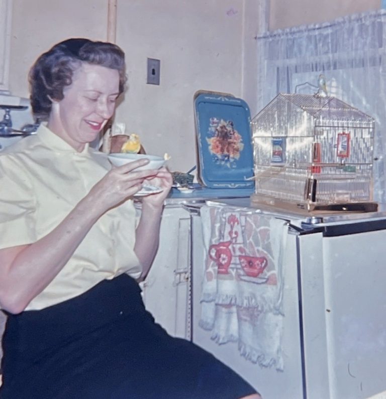 Ch. 9: Aunt Virginia commiserates with Fuji, the talking parrot